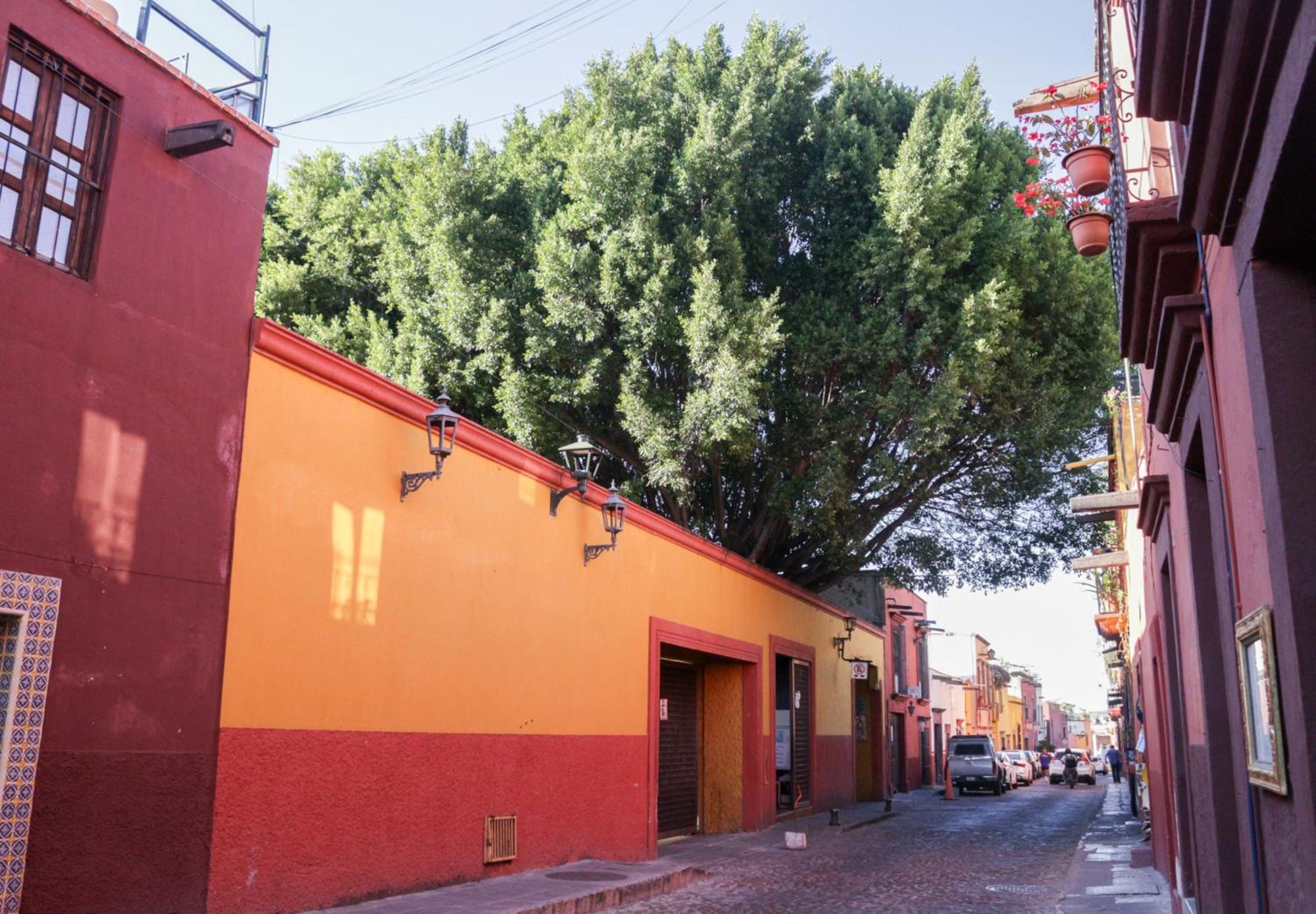 Casa Relox 43 Hotell San Miguel de Allende Eksteriør bilde